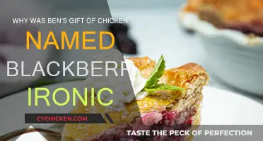 Ben's Chicken Gift: A Darkly Ironic Tale