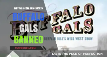 Why 'Cow and Chicken: Buffalo Gals' Episode Was Banned