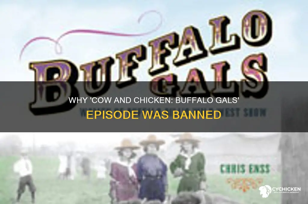 why was cow and chicken buffalo gals banned