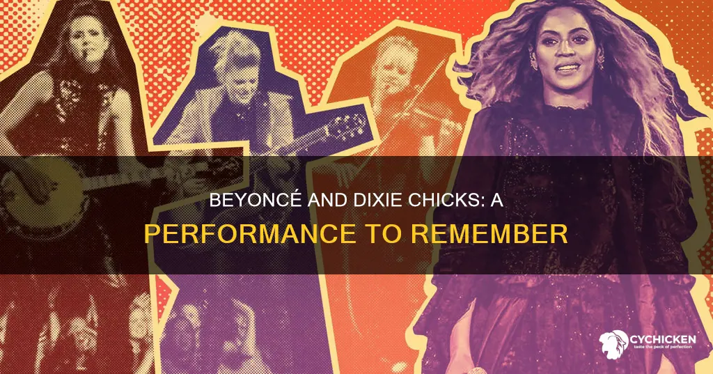 why was people dissimg the beyonce dixie chick performance