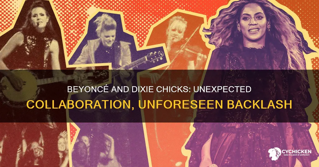 why was people dissing the beyonce dixie chicks performance
