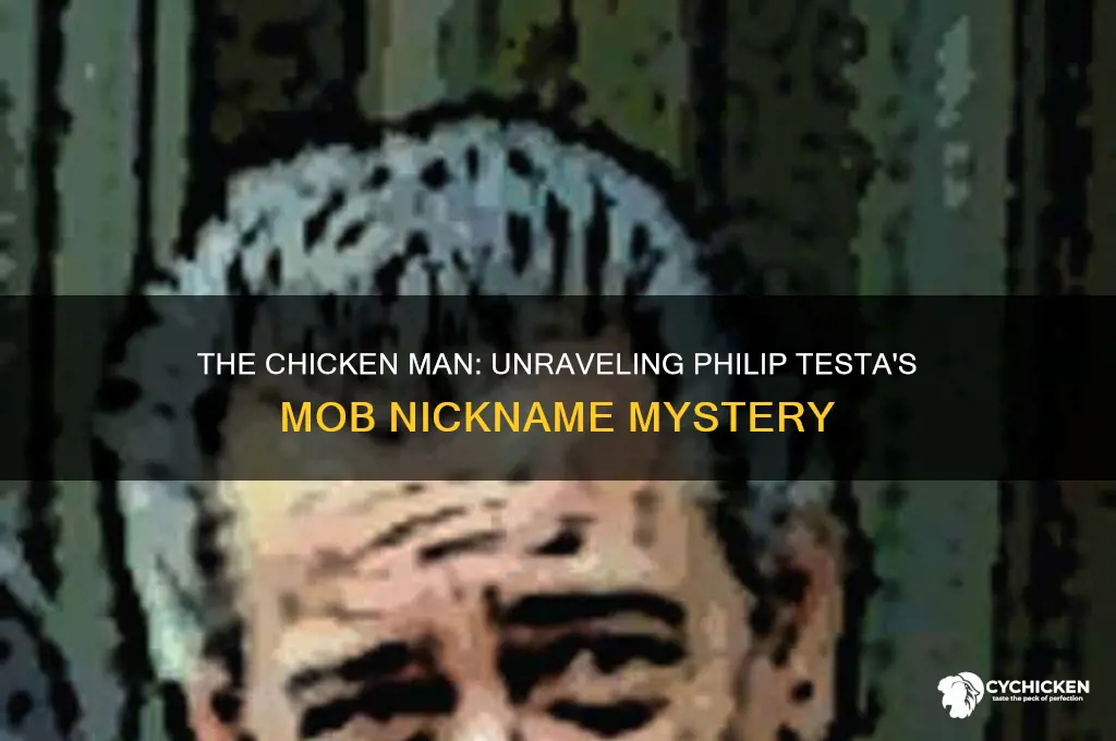 why was philip testa called the chicken man