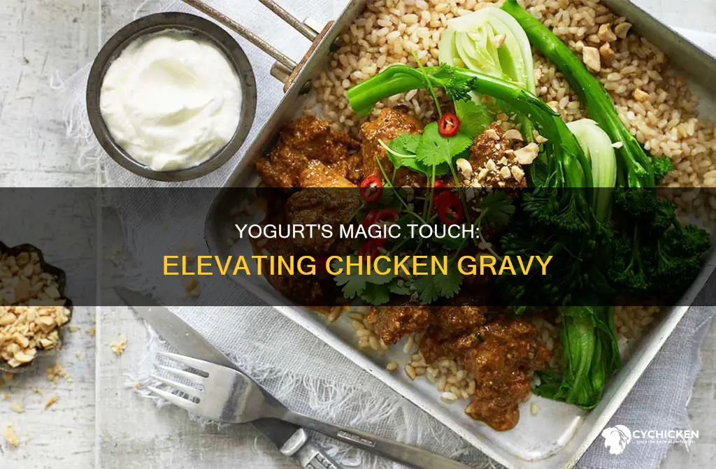 why we need to add yogurt in chicken gravy