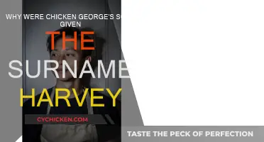 Chicken George's Sons: The Surname Mystery Explained