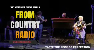 Dixie Chicks' Radio Ban: Unraveling the Controversial Backstory