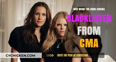 Why the Dixie Chicks Were Blacklisted from CMA Awards