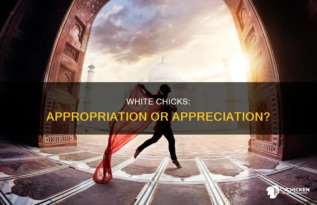 why white chicks is ok but cultural apropriation is
