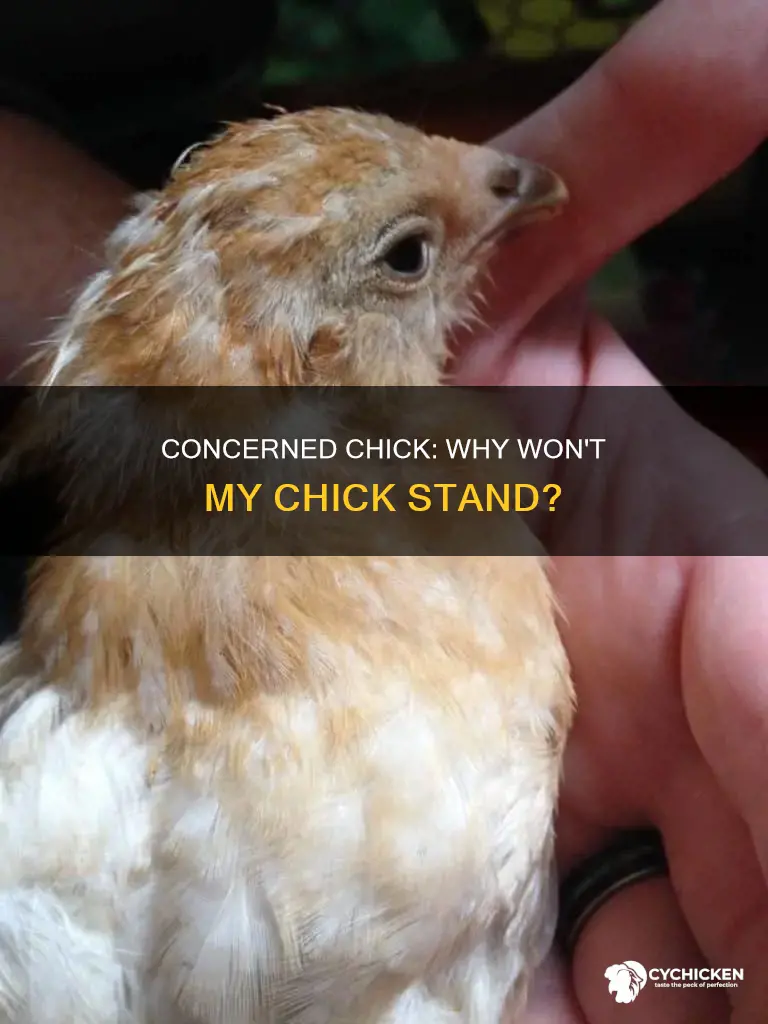 why won