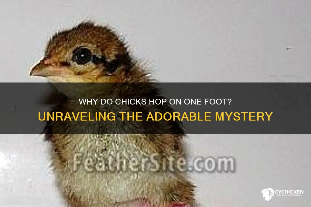 why would a chick hop on one foot