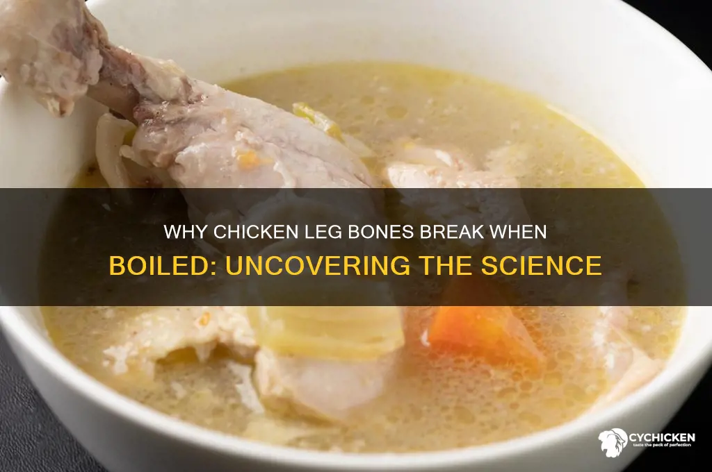 why would chicken leg bones break when boiled
