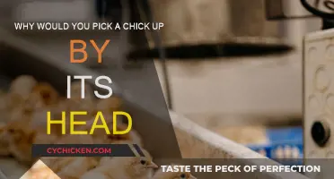 Chicks' Heads: Why and How to Pick Them Up