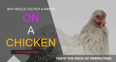 Diapering Chickens: A Weird but Practical Solution