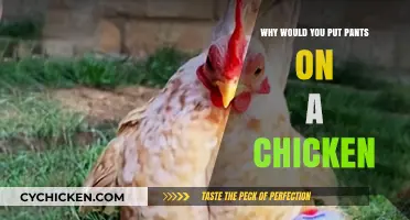 Why Would You Put Pants on a Chicken? Exploring the Absurd Trend