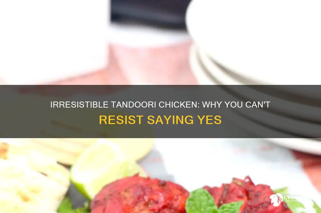 why you always say yes to tandoori chicken