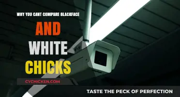 Blackface vs. White Chicks: Understanding the Uncomparable Racial Dynamics