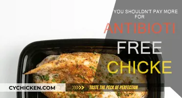 Antibiotic-Free Chicken: Is the Price Worth It?