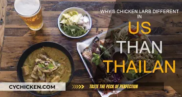 Chicken Larb: Authentic vs Americanized