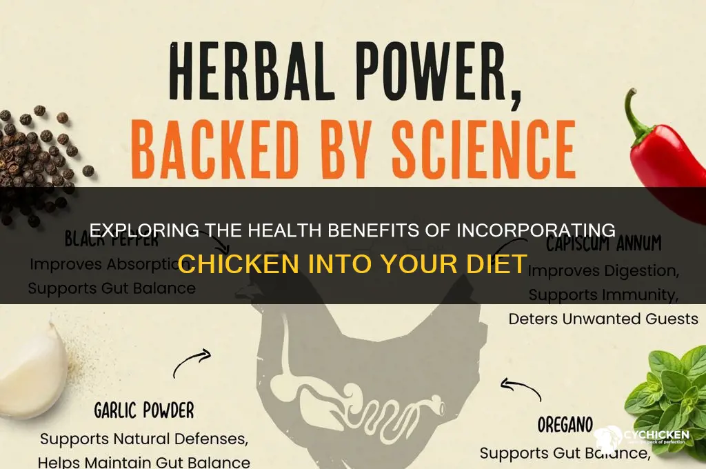 will 1 chicken br healthy