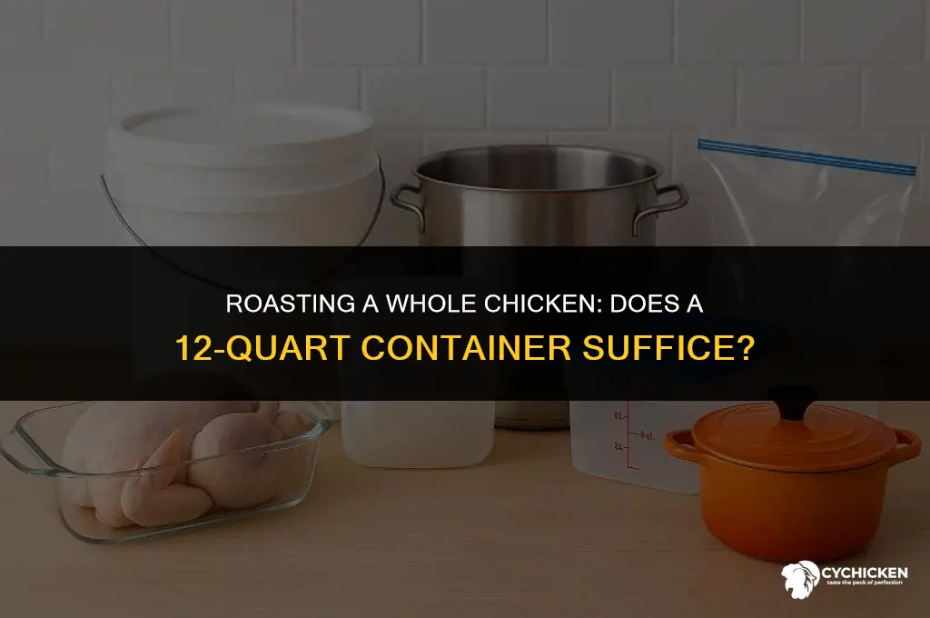 will 12 qt container fit a whole chicken