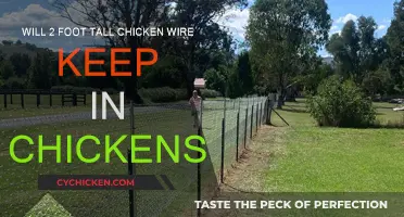 Chicken Wire Height: Keeping Chickens Contained