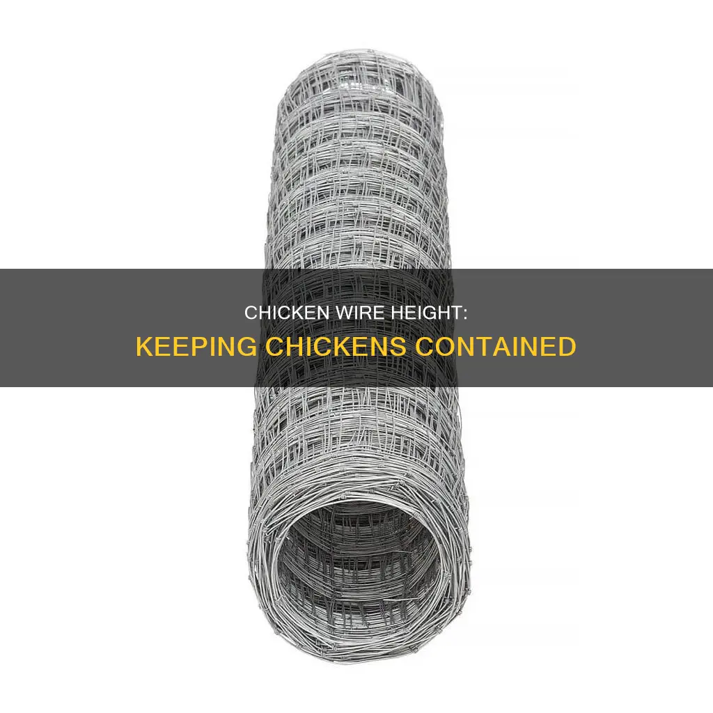 will 2 foot tall chicken wire keep in chickens