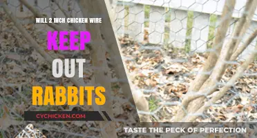 Can 2-Inch Chicken Wire Effectively Deter Rabbits from Your Garden?