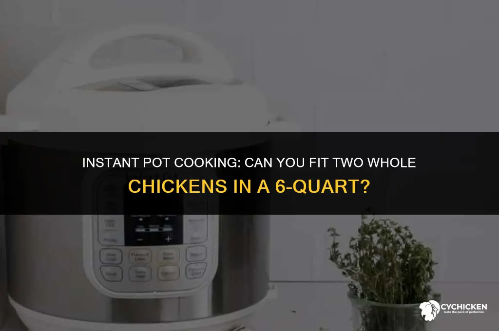 will 2 whole chicken fit in 6 qt instant pot