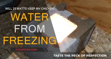 Heated Chicken Water: 25 Watts to Prevent Freezing?