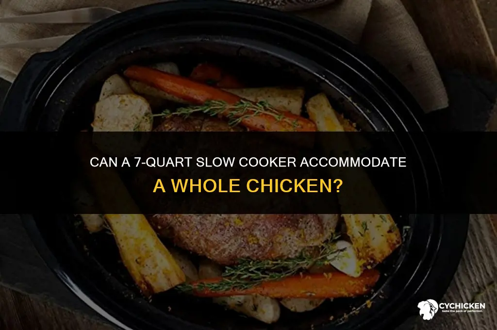 will a 7 qt slowcooker fit a whole chicken