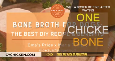 Boxers and Bones: A Single Chicken Bone, Is It Fatal?