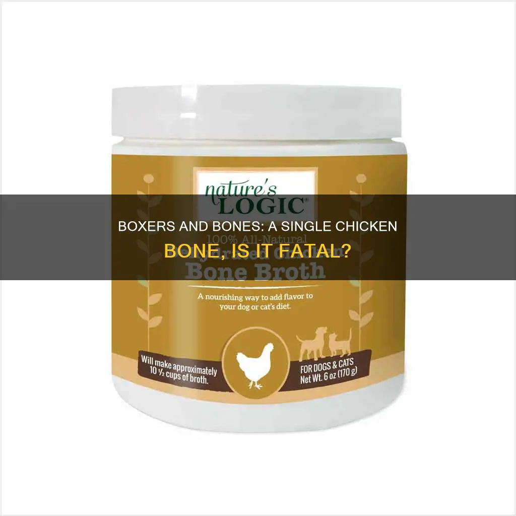 will a boxer be fine after wating one chicken bone