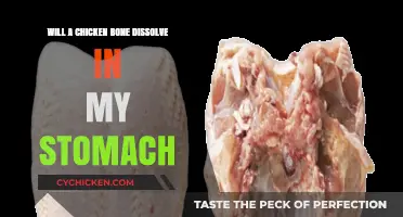 Chicken Bones in Stomach: Will They Dissolve or Cause Harm?