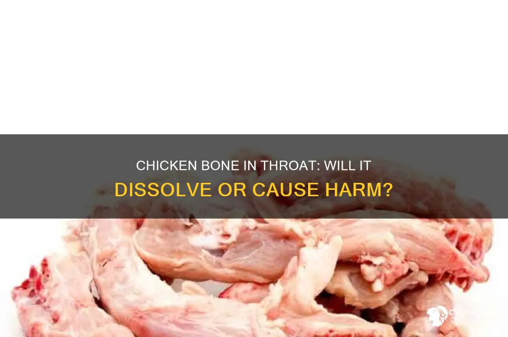 will a chicken bone dissolve in your throat