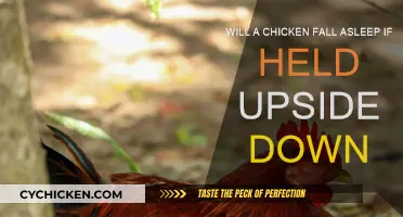 How Upside-Down Chickens Fall Asleep