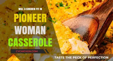 Pioneer Woman Casserole: Can a Whole Chicken Fit Inside?