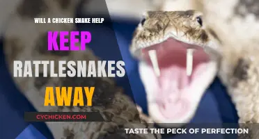 Chicken Snakes vs. Rattlesnakes: Effective Natural Pest Control or Myth?