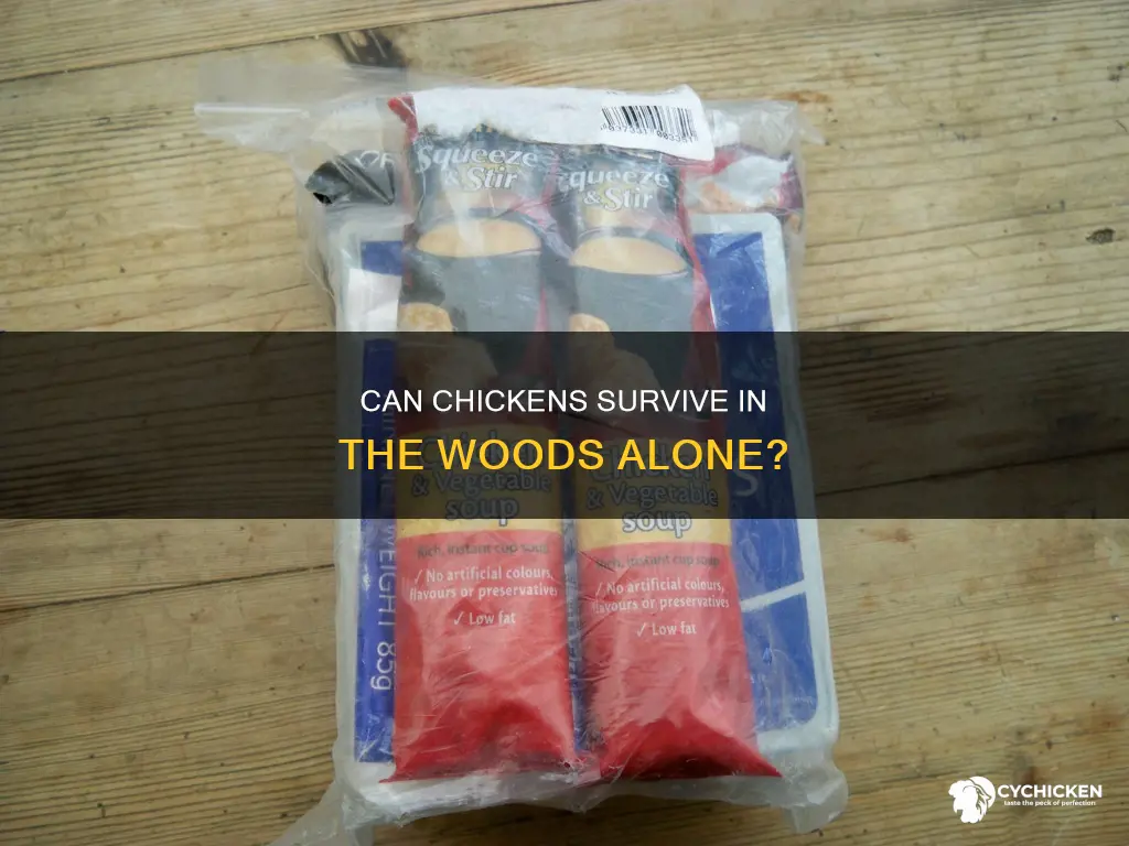 will a chicken survive on its own in the woods
