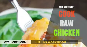 From Raw to Ready: Mastering Chicken in Your Crock Pot