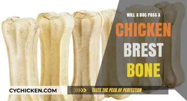 Can Dogs Safely Eat Chicken Breast Bones? Vet-Approved Advice