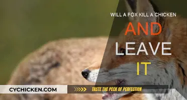 Foxes, Chickens, and Carnage: Why Do Foxes Leave?