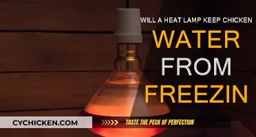 Heat Lamps: Preventing Frozen Chicken Water