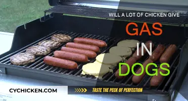Chicken and Dog Gas: What's the Link?