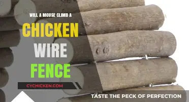 Can Mice Climb Chicken Wire Fences? Facts and Prevention Tips