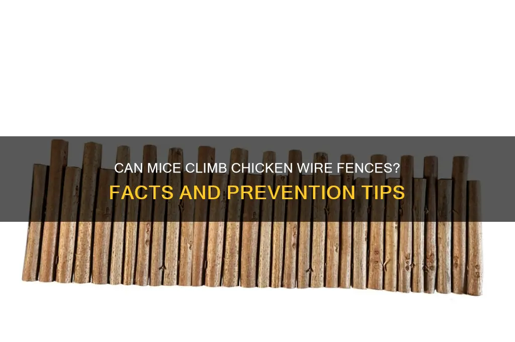 will a mouse climb a chicken wire fence