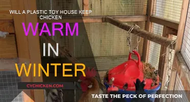 Plastic Toy House: Winter Warmth for Chickens?