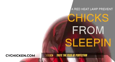 Heat Lamps: Do Red Lights Keep Chicks Awake?