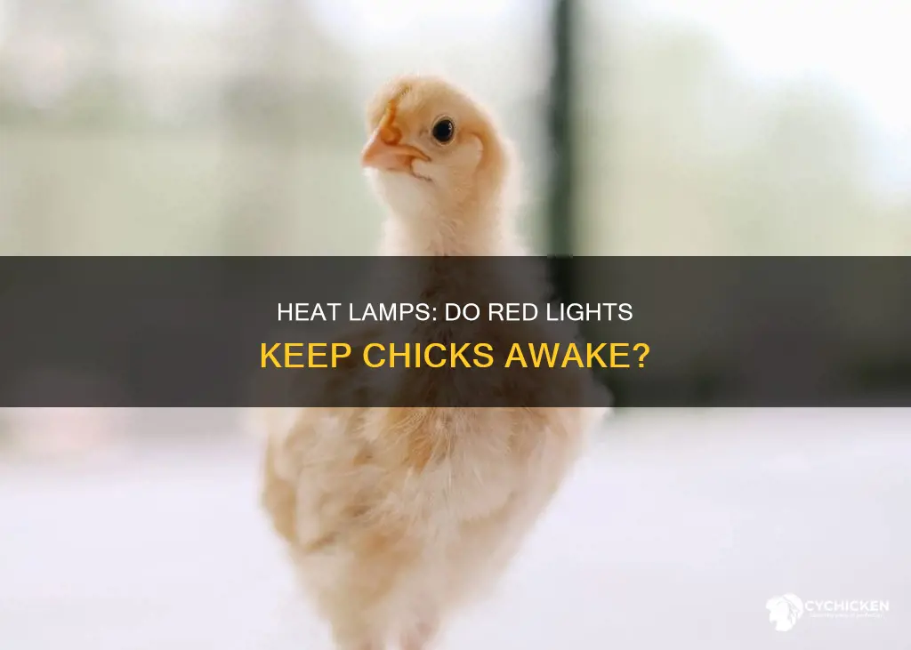 will a red heat lamp prevent chicks from sleeping
