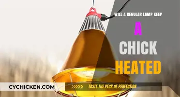 Can a Regular Lamp Provide Enough Heat for a Chick?