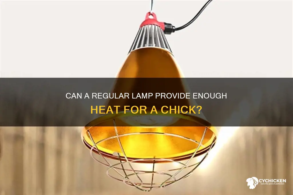 will a regular lamp keep a chick heated