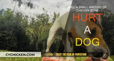 Chicken Bones: Are They Safe for Dogs?